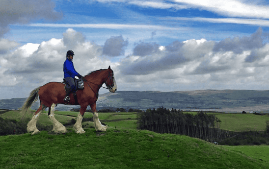 Ride majestic heavy horses through stunning Cumbrian landscapes with Cumbrian Heavy Horses.