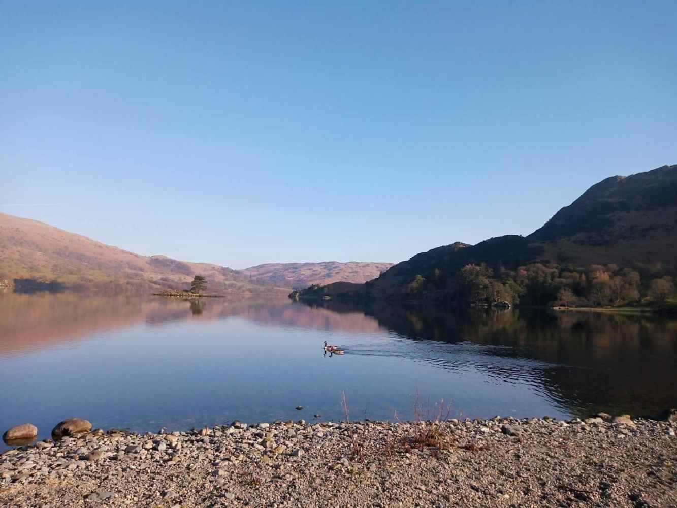 Calm lake with distant mountains, clear blue sky, and Canada Geese in the water near a rocky shore.